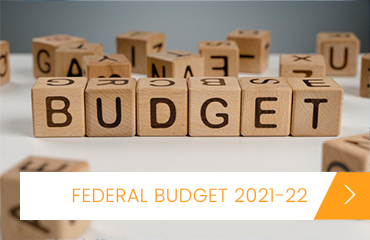 Read more about the article Federal Budget Synopsis 2021-22