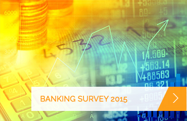 Read more about the article BANKING SURVEY 2015